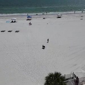 Meet your Posher, Raina